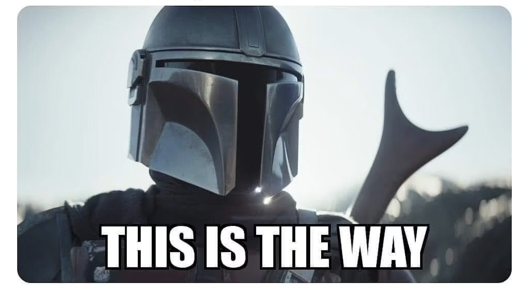 This is the way image